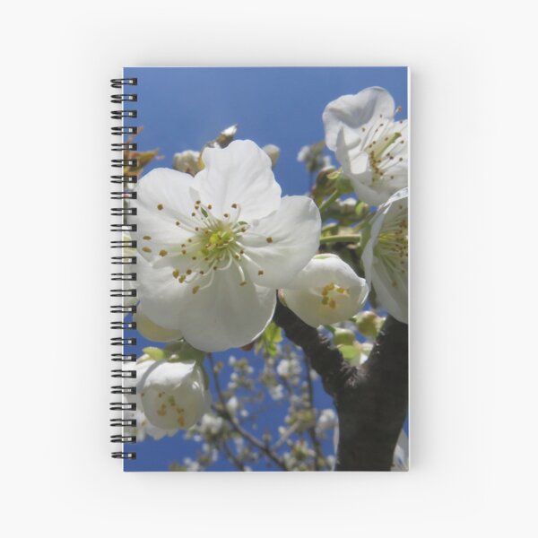 Aperçu de l'œuvre Grappes de fleurs de cerisier créée et vendue par AHELENE.