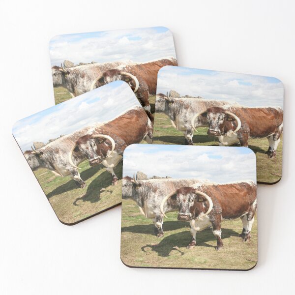 Item preview, english longhorn cattle designed and sold by markspics.