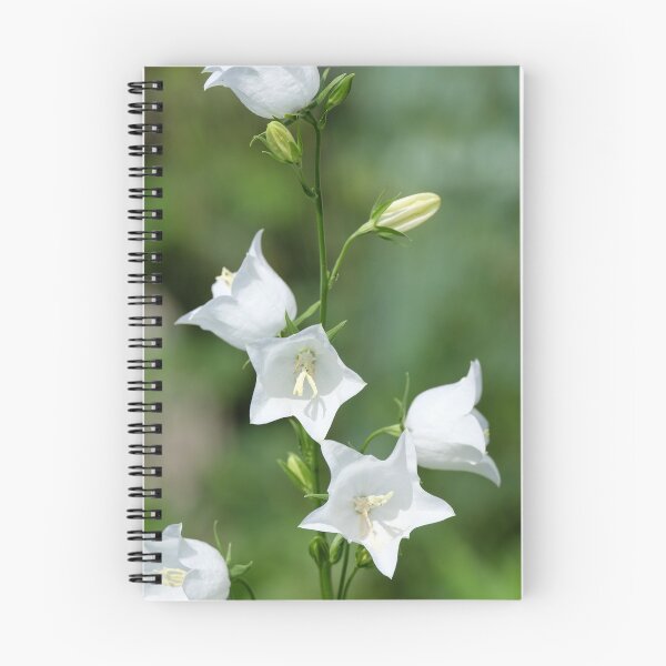 Item preview, campanula designed and sold by markspics.