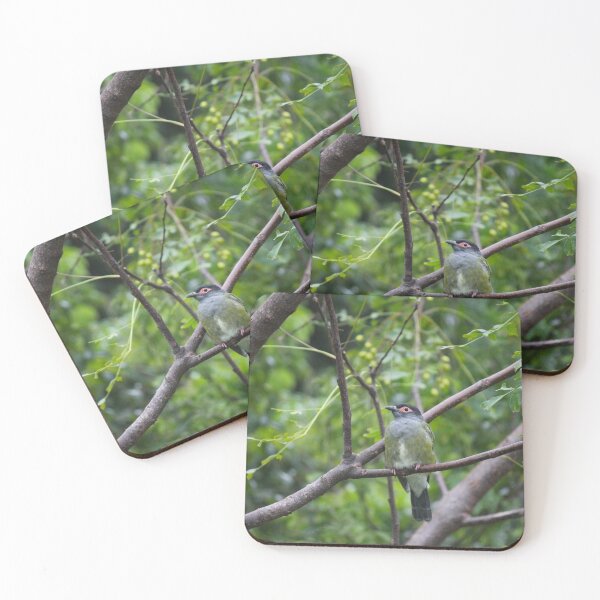 Item preview, Figbird designed and sold by AHELENE.