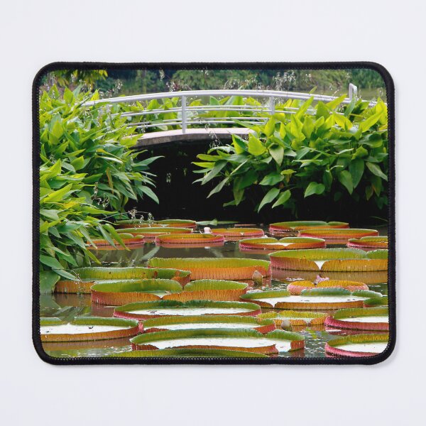 Item preview, Giant Water Lilies designed and sold by jwwallace.