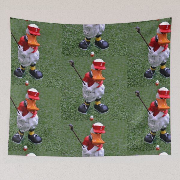 Item preview, Albatross, Eagle but Duck ? designed and sold by lynn carter.