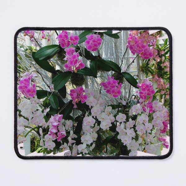 Item preview, Orchids on Display designed and sold by jwwallace.