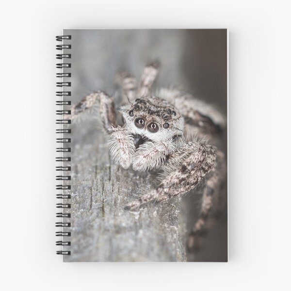 Item preview, Jumping Spider designed and sold by Roger Porter Photography.