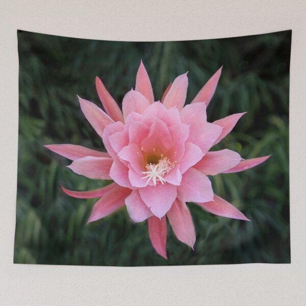 Item preview, Epiphylium Orchid Flower designed and sold by heatherfriedman.