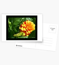 LUNCH TIME Postcards