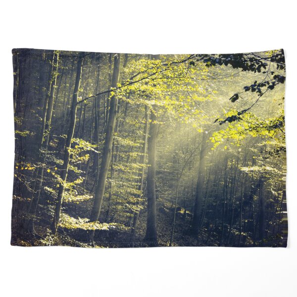 Being There - Morning Light in Forest Pet Blanket