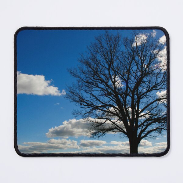 Item preview, Australian Evening Landscape designed and sold by jwwallace.