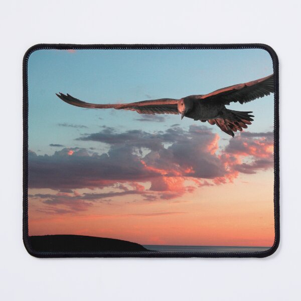 Item preview, Evening Albatross designed and sold by jwwallace.