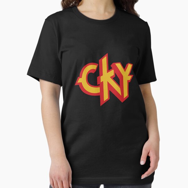 T-shirt Homme Tony Hawk – Gris, Graphique, Rétro Skate – Taille XL