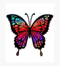 Psychedelic Butterfly Photographic Print