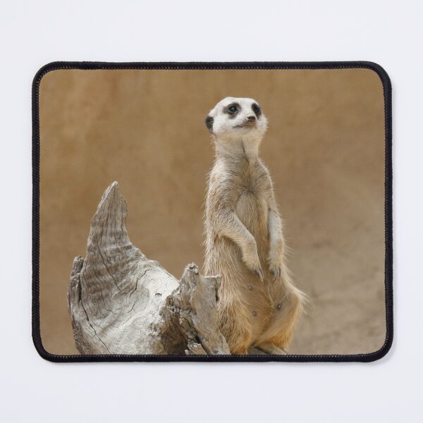 Item preview, Meerkat, suricata suricata designed and sold by jwwallace.