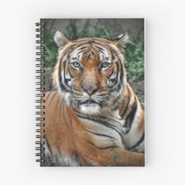 Item preview, Malayan Tiger designed and sold by Savannah Gibbs.