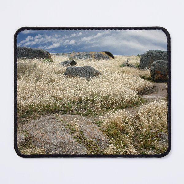 Artikelvorschau, Grass Tails among the Granite entworfen und verkauft von jwwallace.