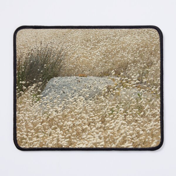 Item preview, Grass tails among the granite designed and sold by jwwallace.