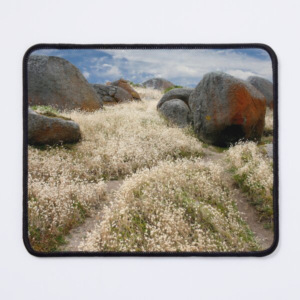 Item preview, Grass tails among the granite designed and sold by jwwallace.