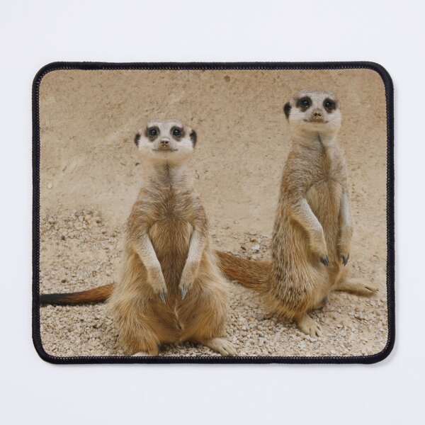 Item preview, Meerkat, suricata suricata designed and sold by jwwallace.