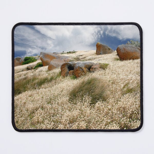 Artikelvorschau, Grass tails among the granite entworfen und verkauft von jwwallace.