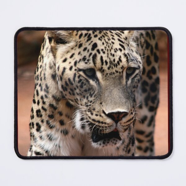Item preview, Persian Leopard designed and sold by jwwallace.