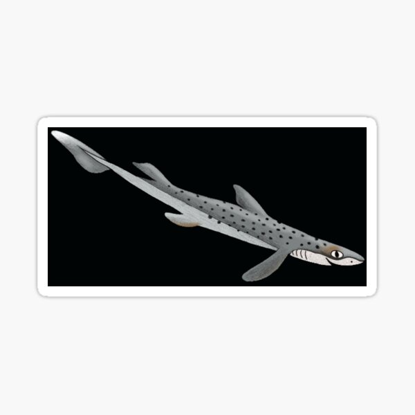 Dogfish (Black Background) Sticker