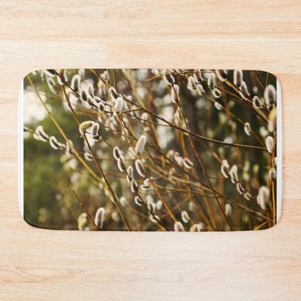 Item preview, Pussy willows in bloom during spring designed and sold by riku05830.