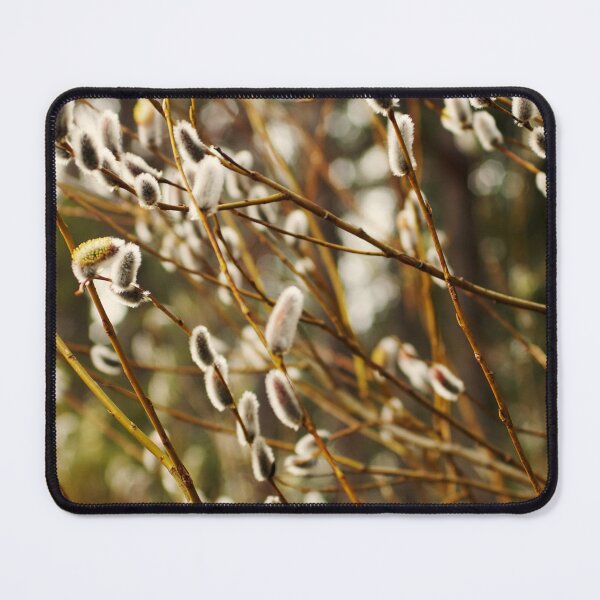 Item preview, Pussy willows in bloom during spring designed and sold by riku05830.