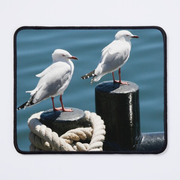 Item preview, Seagulls on a Bollard designed and sold by jwwallace.
