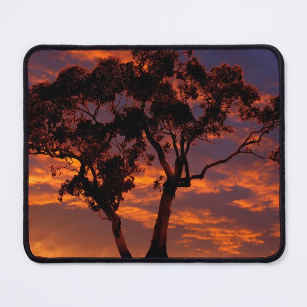 Item preview, Lone Tree Silhouette designed and sold by jwwallace.