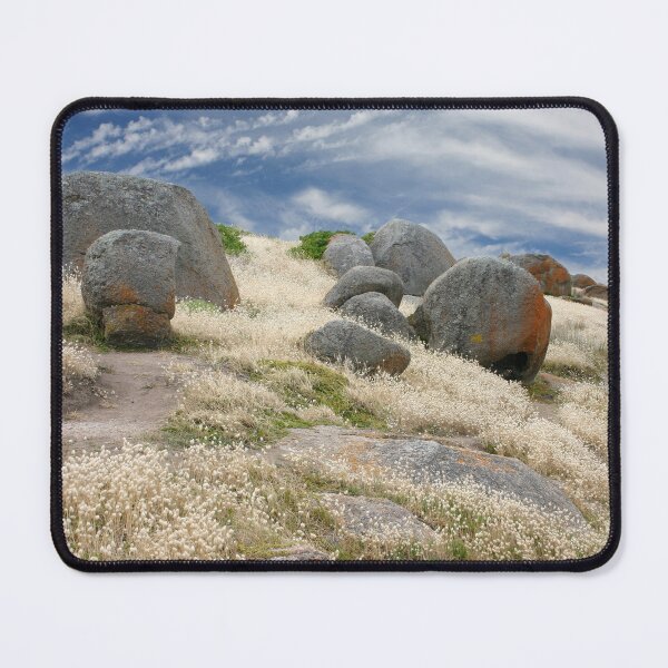 Item preview, Grass tails among the granite designed and sold by jwwallace.