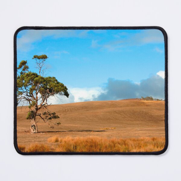 Item preview, Last Tree Standing designed and sold by jwwallace.