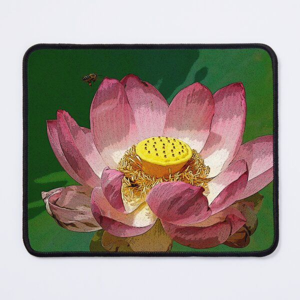 Item preview, The sacred lotus designed and sold by jwwallace.