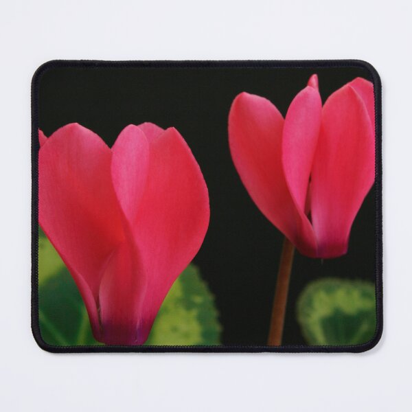 Item preview, Floral Display designed and sold by jwwallace.