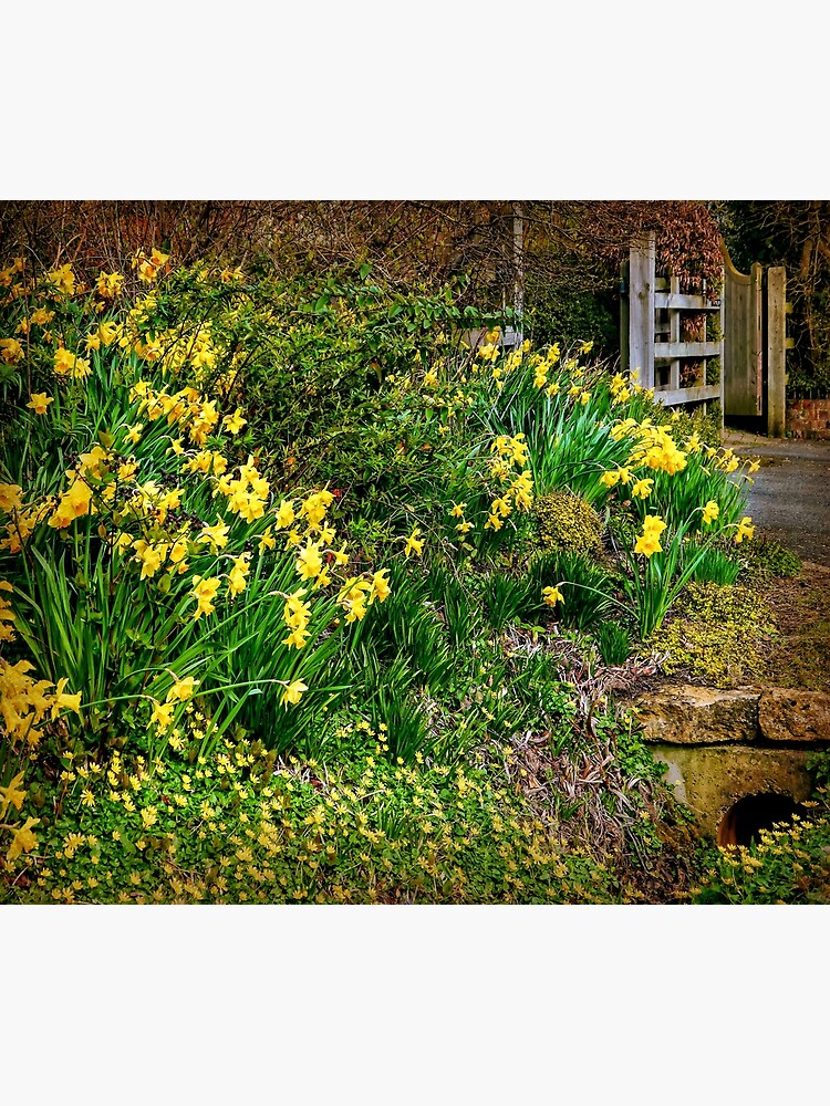 Spring has Sprung! by ScenicViewPics