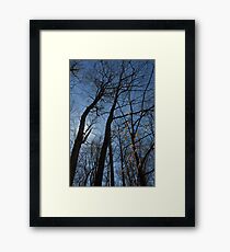 Twins Framed Print