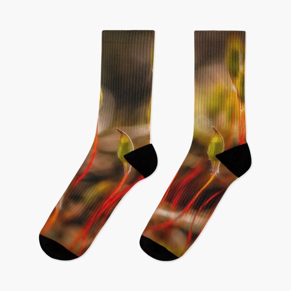 Item preview, Spring in the moss designed and sold by Veikko  Suikkanen.