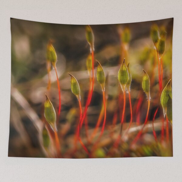 Item preview, Spring in the moss designed and sold by Veikko  Suikkanen.