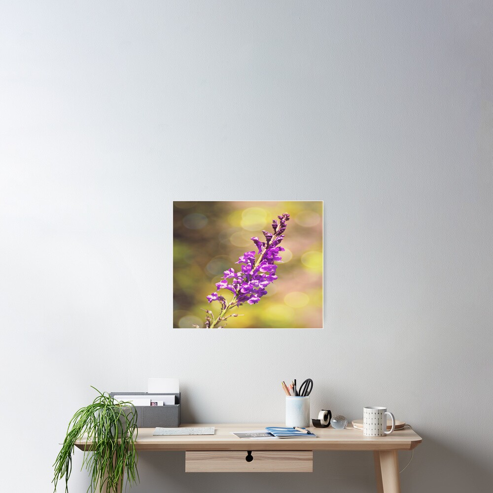 Item preview, Poster designed and sold by ScenicViewPics.