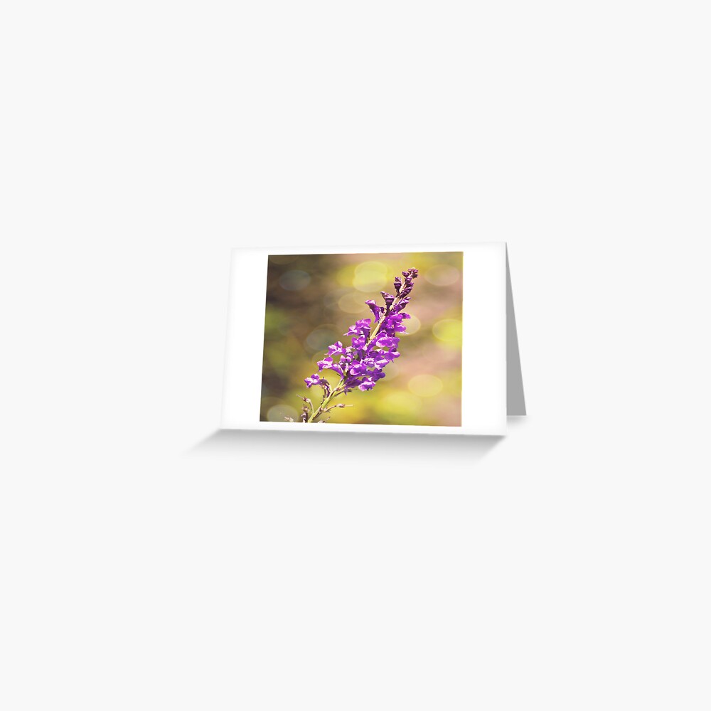 Item preview, Greeting Card designed and sold by ScenicViewPics.