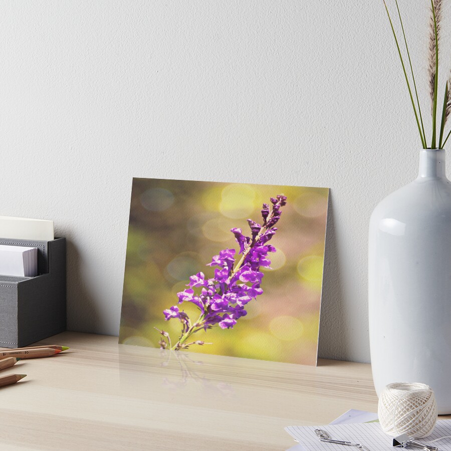 Item preview, Art Board Print designed and sold by ScenicViewPics.