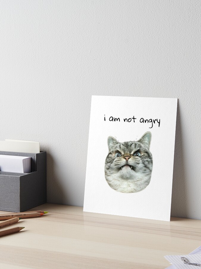 i am not angry cat meme | Poster