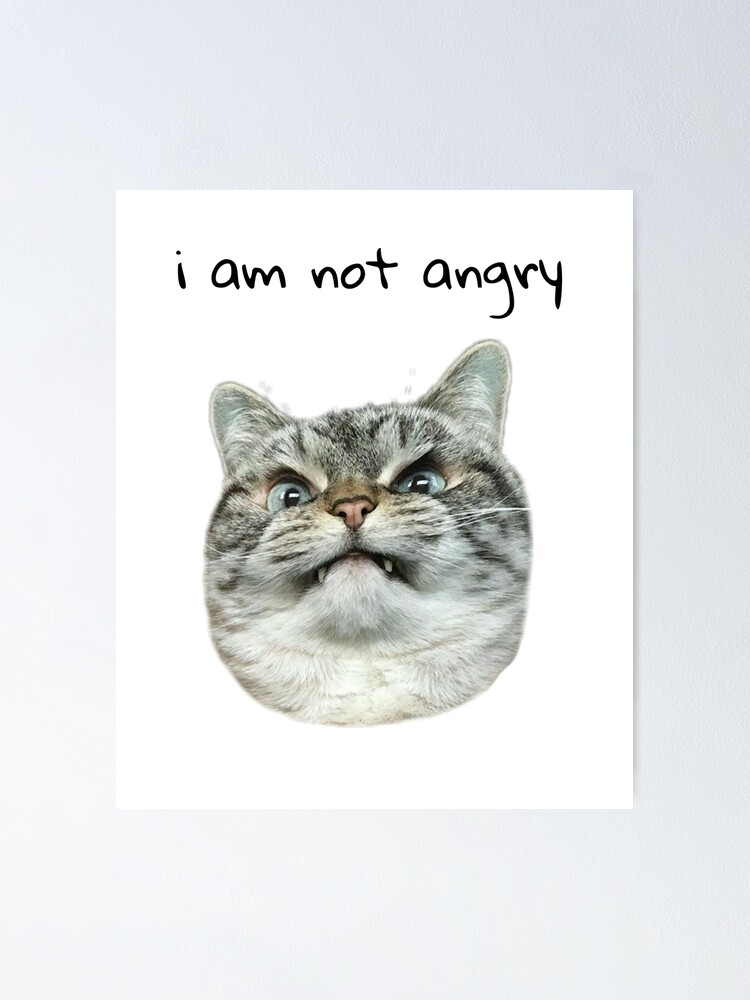 angry face meme - cat Poster by auroragalavis