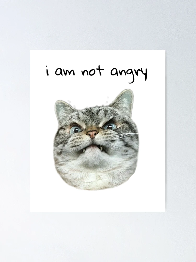 Angry Cat Meme I'm Grumpy So What Poster