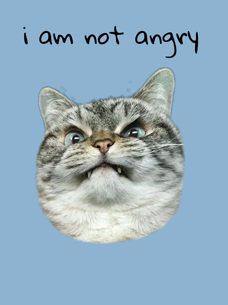 i am not angry cat meme | Poster