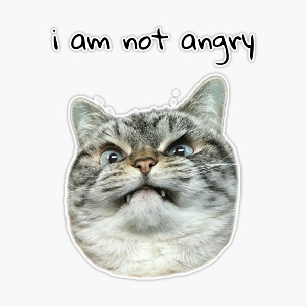 Angry Cat Meme I'm Grumpy So What Kids T-Shirt
