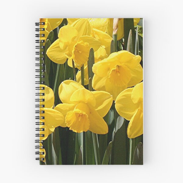 Aperçu de l'œuvre Fleurs de jonquilles jaunes créée et vendue par FranWest.