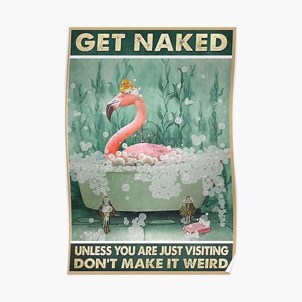 Cute Flamingo Get Naked Unless You Are Just Visiting Don't Make It Weird Poster