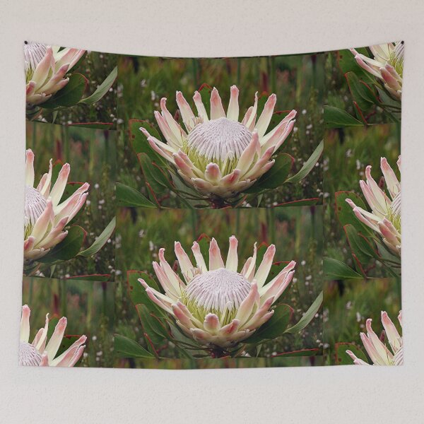 Item preview, South African King Protea flower designed and sold by FranWest.