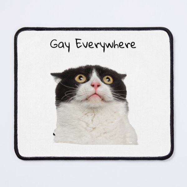 Item preview, gay everywhere cat designed and sold by fabmemez ⭐⭐⭐⭐⭐.