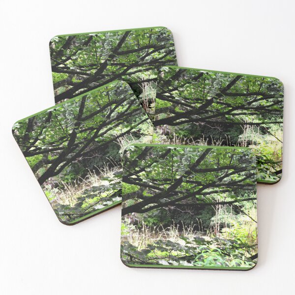Item preview, Tranquility  at the river Carron in Denny, Stirlingshire designed and sold by angel1.