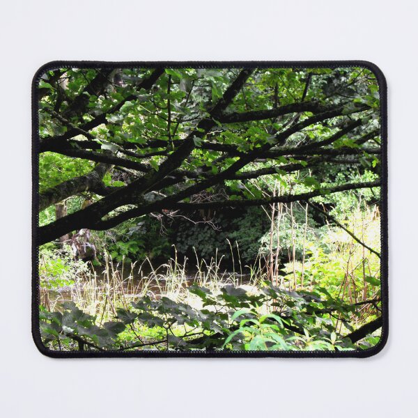 Item preview, Tranquility at the river Carron in Denny, Stirlingshire designed and sold by angel1.